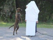 MH - 24.08.2014 Mandal Hundeklubb 