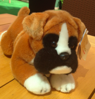 Boxerteddy