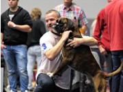 Westfalenhalen Dortmund 19.10.2014 - VDH Tysk kennel klubb - VHD Bundessieger