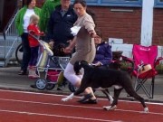 Sortland 21.09.2014 - Bjerkvik Hundeklubb - BIR