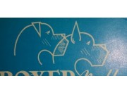Logo Boxernytt