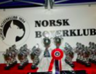 Skjermbilde 2015-01-31 kl. 13.38.58