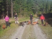 Norsk Boxerklubb avdeling Telemark