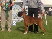 Bergen 11.04.2015 - Norsk Kennel Klub - BIM