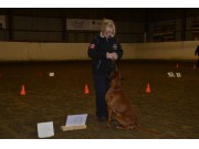 04.10.2014 Vennesla Hundeklubb