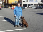 Voss 19.04.2015 - Kvam Hundeklubb - Gjennomført MH .