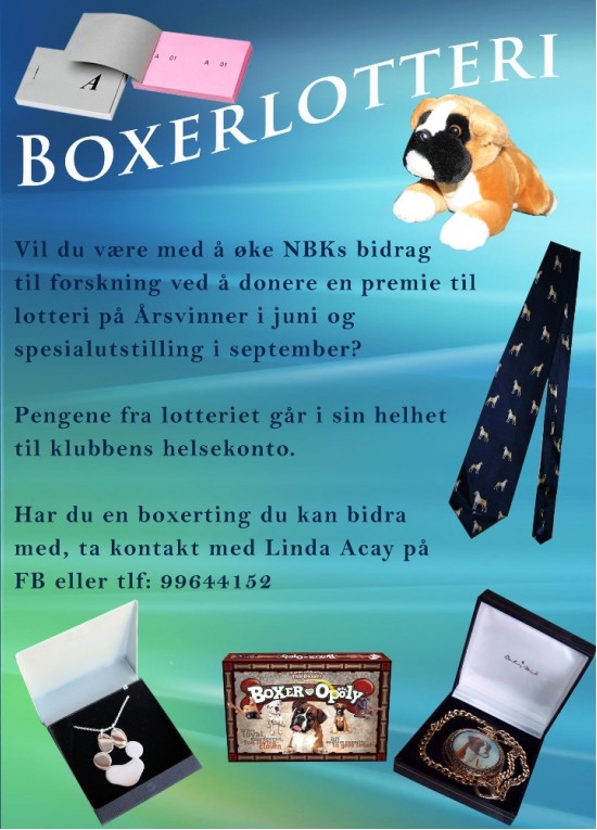 Boxerlottery tn.