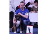 Westfalenhallen Dortmund 09.05.2015 - VDH Tysk Kennel Klubb - VDH - Frühjahrssieger 2015