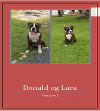 Donald og Lara 1