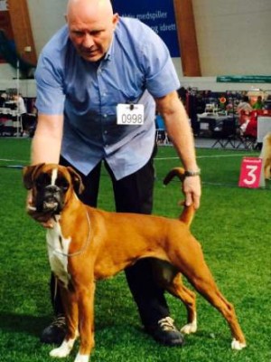 Mokka av Boxerhuset 100515
