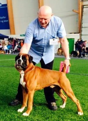 Leopold av Boxerhuset 100515