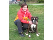 Fetsund 11.10.2015 - Stovner Hundeklubb - Spor A - Godkjent