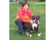 Fetsund 10.10.2015 - Stovner Hundeklubb - Spor A - Godkjent