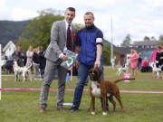 Drammen 07.06.2015 - Norsk Kennel Klub - BIM