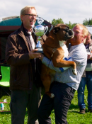 Boxy King av Hasseldalen
