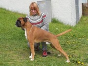 Oppdal 14.06.2015 - Oppdal hundeklubb - BIM