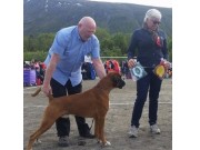 Tromsø 21.06.2015 - Norsk Kennel Klub - BIM