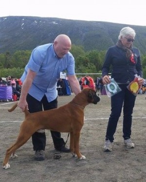 Leopold av Boxerhuset 210615
