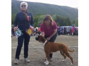 Tromsø 21.06.2015 - Norsk Kennel Klub - BIR