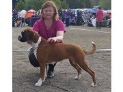 Bodø 28.06.2015 - Norsk Kennel Klub - BIM