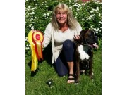 Leangen 04.07.2015 - Norsk Kennel Klub - BIR Valp - 3 BIG
