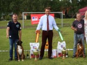 Tartu Estland 11.07.2015 - Estonian Boxer Club - Baltisk Winner 15 - Estisk Utstillingschampion