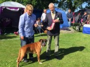 Tvååker, Sverige 10.07.2015 - Hallands Kennelklubb - BIR Veteran