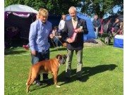 Tvååker, Sverige 11.07.2015 - Hallands Kennelklubb - BIR Veteran