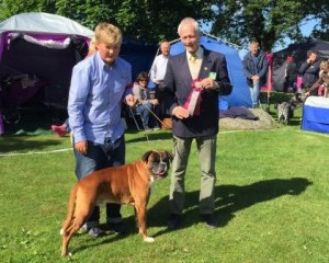 Boxy King av Hasseldalen 100715