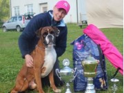 Ås 06.06.2015 - Årsvinnerutstillingen Norsk Boxerklubb - BIR - Årsvinner Hannhund