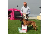 Karmøy 26.07.2015 - Norsk Lhasa Apso Klubb - BIM, BIR VT, 4 BIS VT