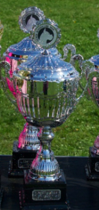 Pokal