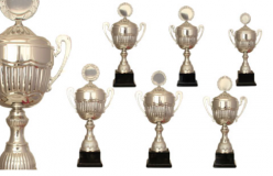 Pokaler pion