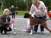 Bodø 27.06.2015 Norsk Boxerklubb avd. Nordland - CERT, 3 BHK