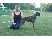 Mandal 22.08.2015 - Mandal Hundeklubb - Gjennomført MH