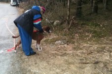 Rundering og spor