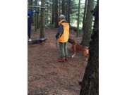 Nærbø 19.09.2015 - Norsk Belgisk Fårehundklubb avd. Rogaland - Gjennomført MH