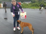 Leirfjord 08.08.2015 - Ytre Helgeland Hundeklubb - BIG 4 Valp