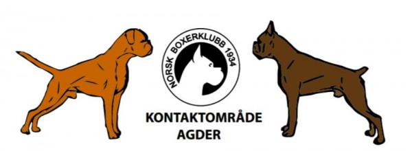 NBK Kontaktområde Agder