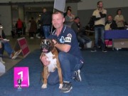Dortmund, Tyskland 18.10.2015 - International utstilling - VDH Tysk kennel klubb