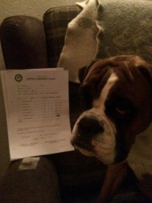 Urban Legend's Hansome Duke 251115