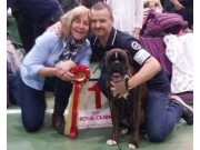 Letohallen 28.12.2015 - Norsk Dobermann Klub - BIR