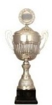 Pokal