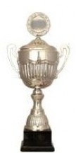 Pokal