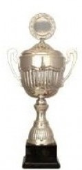 Pokal