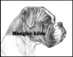 Mangler bilde ny