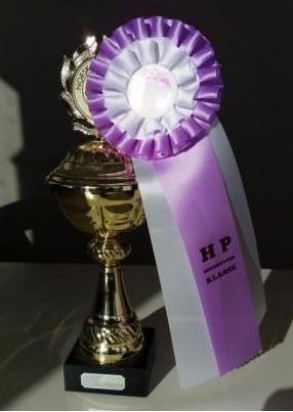 Oppdrettklasse Teamplay NBK Hordaland 2016