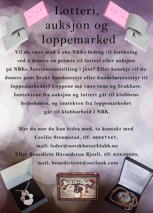 Boxerlotteri 2016-3