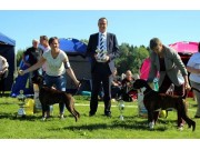 Oversikt over Årsvinnere 2016