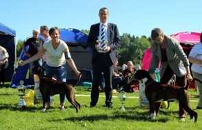 BIR BIM Ås 2016